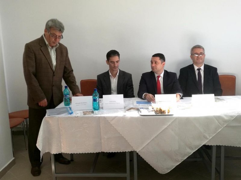 liliesti final_8
